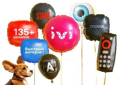 Услуги Дом.ру в деревне Разбегаево